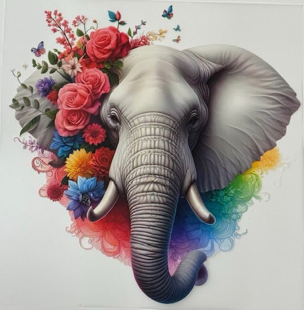 Crewneck - Éléphant