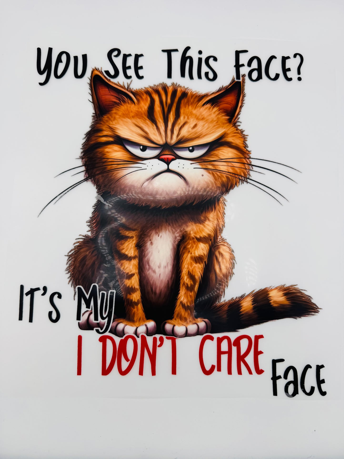 Crewneck - Chat en colère